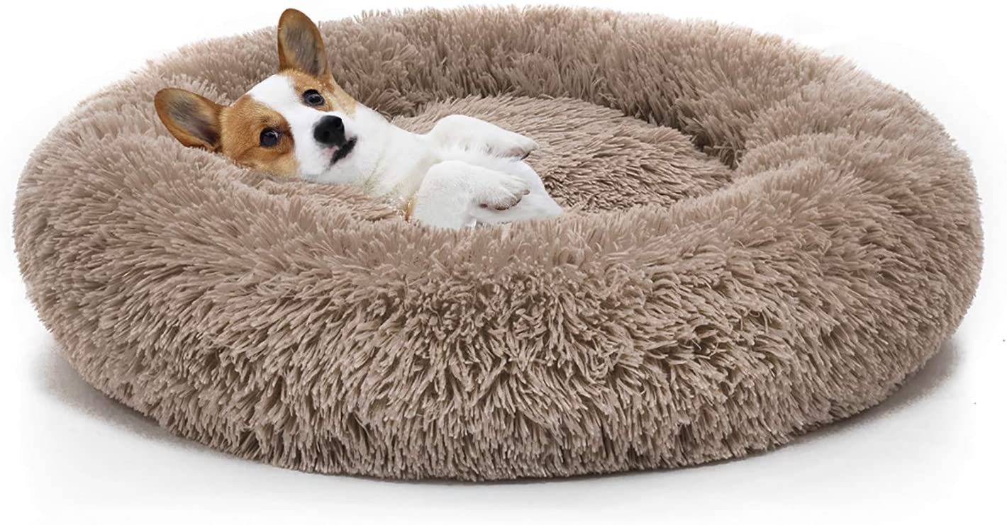 Choosing The Right Dog Bed For Your Pup