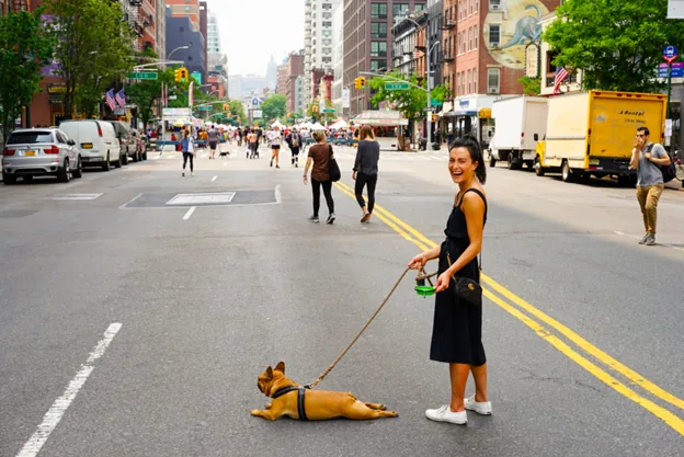 Become a Digital Nomad With Your Pet by Your Side