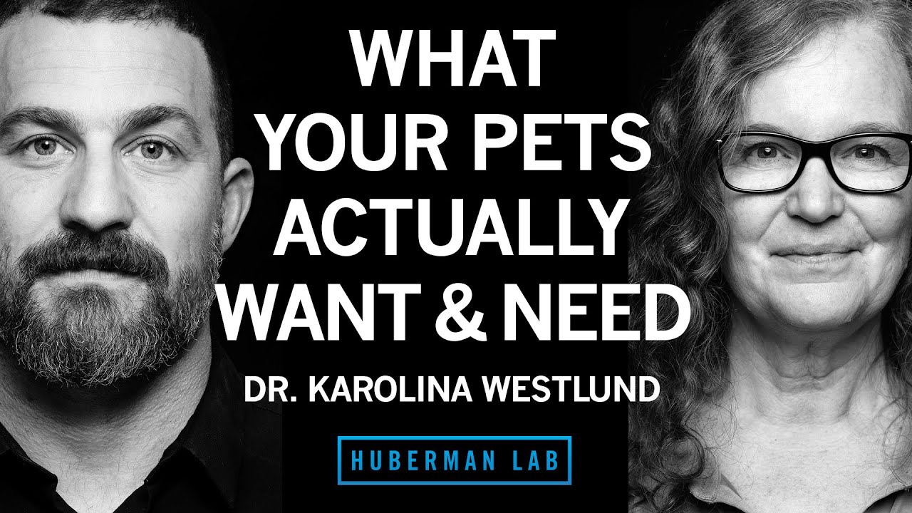 What Your Dog or Cat Really Needs: Huberman Podcast Insights