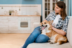 Anxious dog relaxing at home during an in-home pet sitting visit