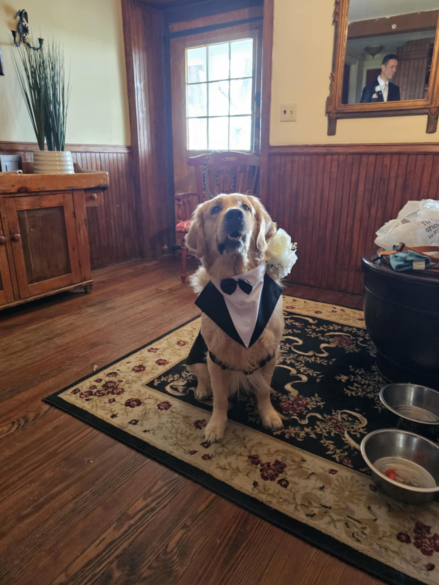 Pet cared for by Pet Sitter Frederick in Frederick MD