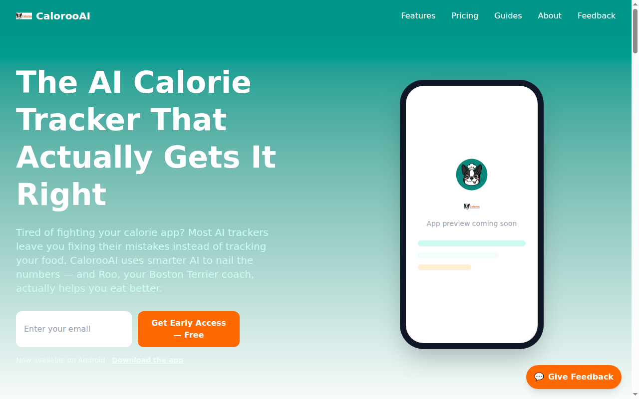 How to Track Your Diabetic Pet’s Insulin & Feeding Schedule